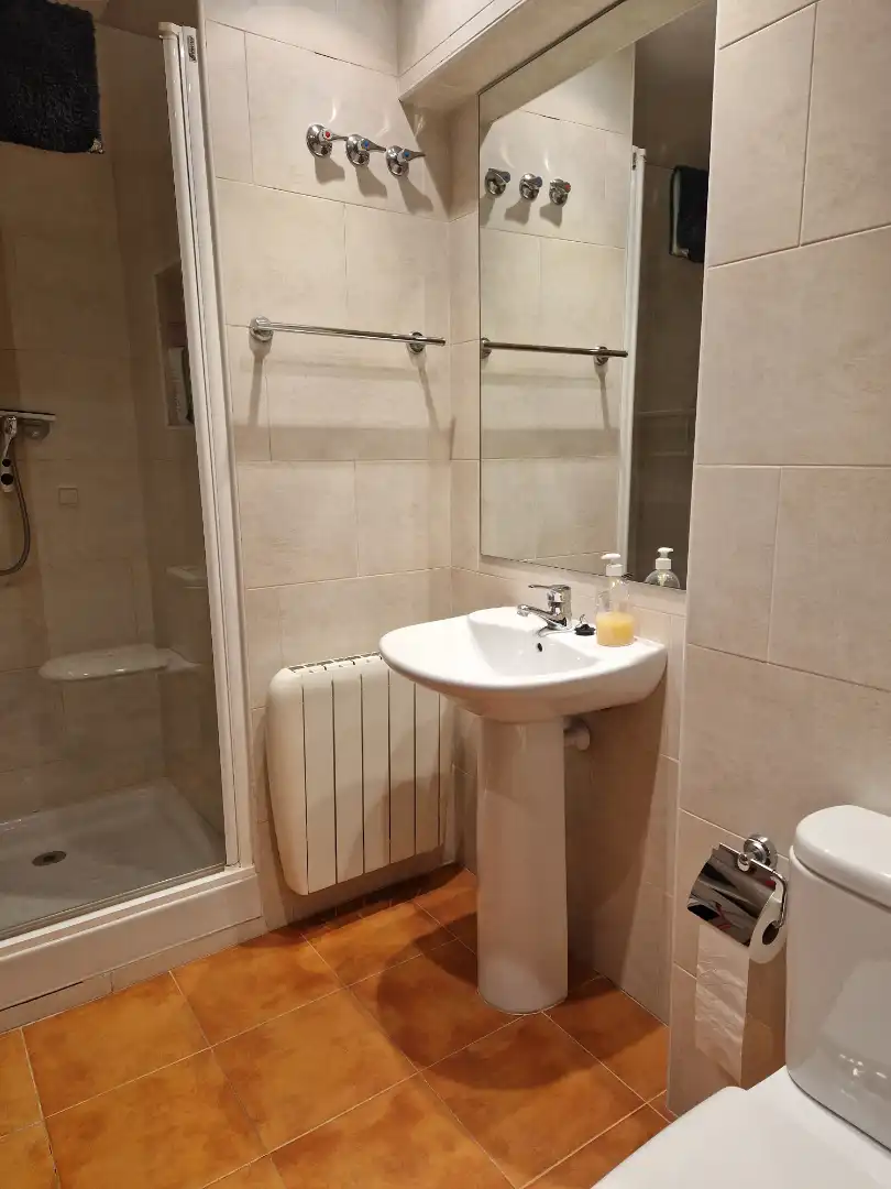 Bany de Pis en venda en Olot amb Calefacció i Moblat