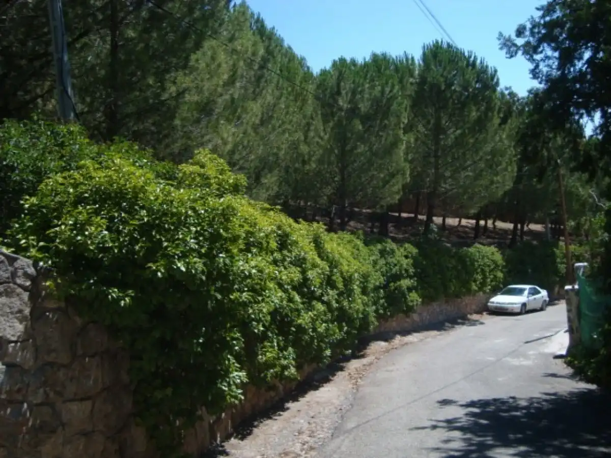 Exterior view of Residential for sale in Loranca de Tajuña