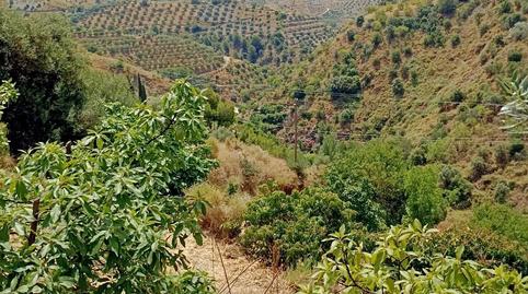 Photo 4 of Land for sale in El Rescate - Río Seco, Granada