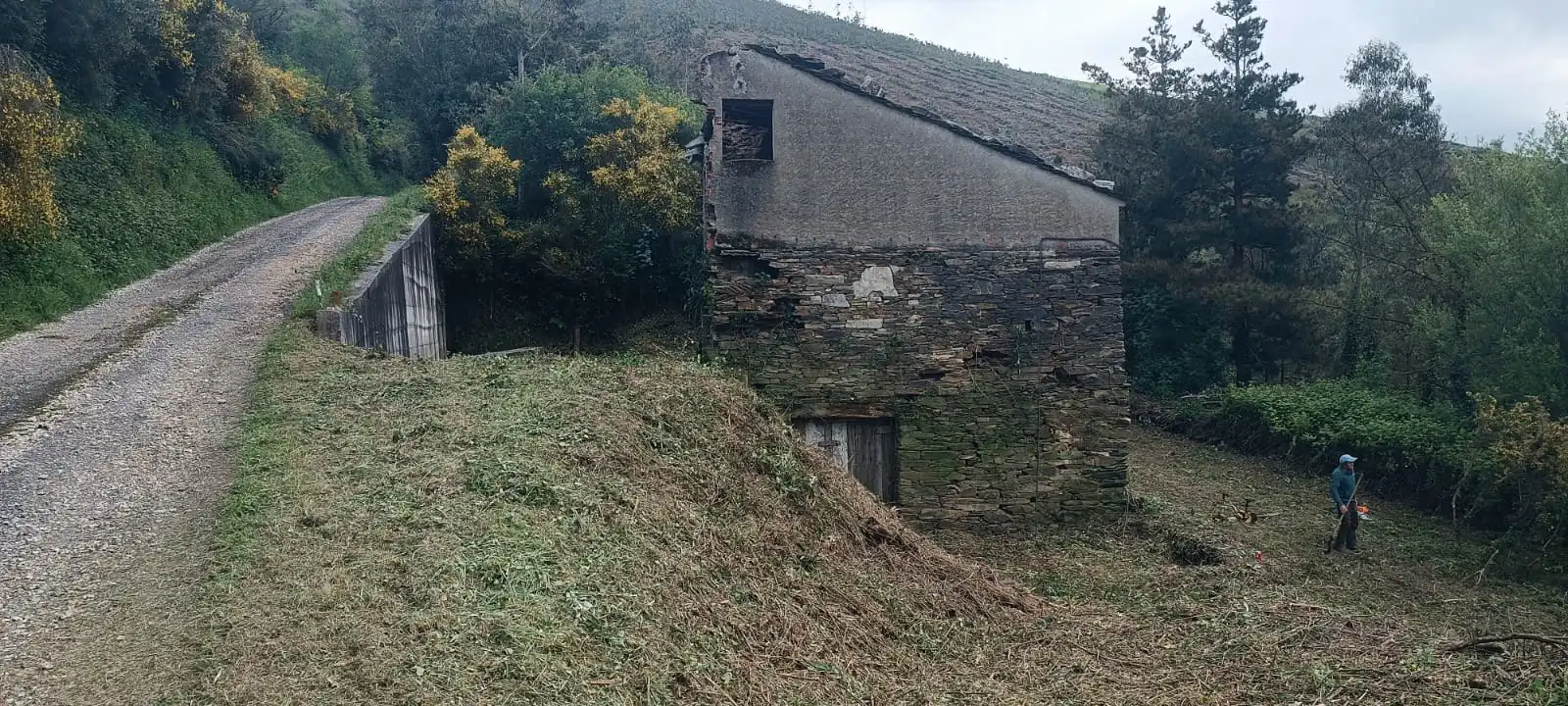 Vista exterior de Finca rústica en venta en Vegadeo