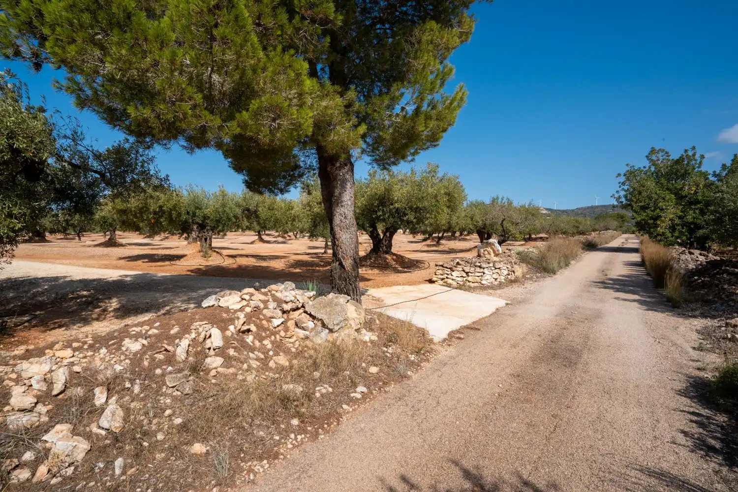 Country homes for sale in Camarles  with Storage room and Furnished