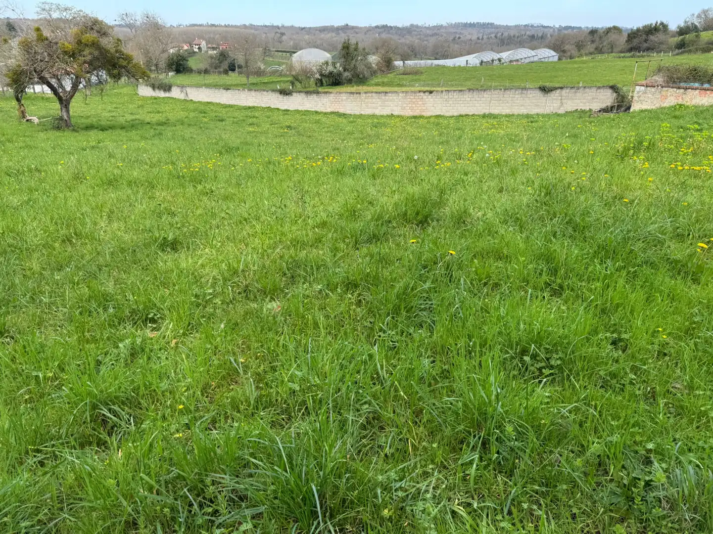 Residencial en venda a San Miguel - CAMÍN DE LOS LLOREOS, El Berrón - La Carrera