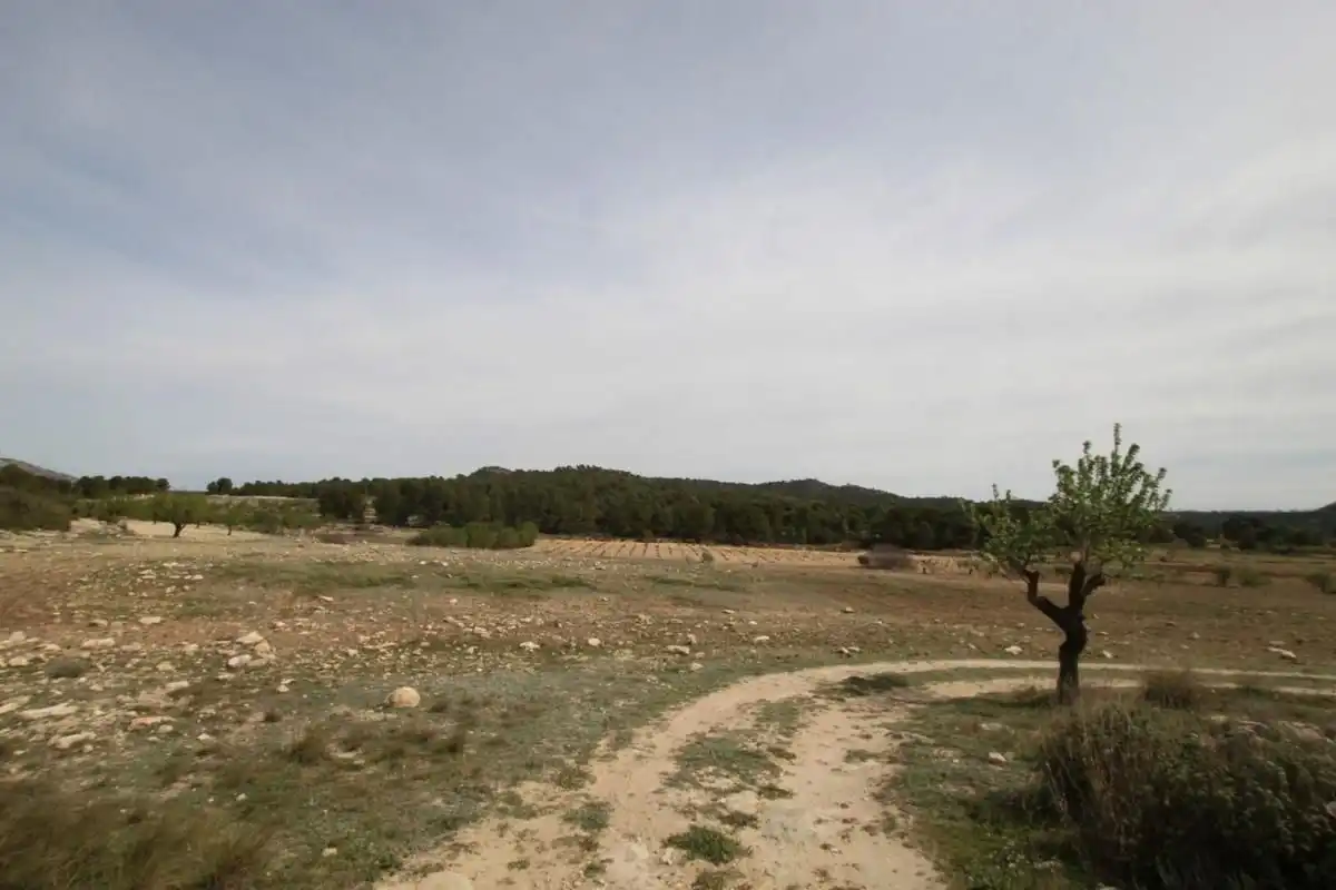 Detached house for sale in Monóvar  / Monòver, imagen 22