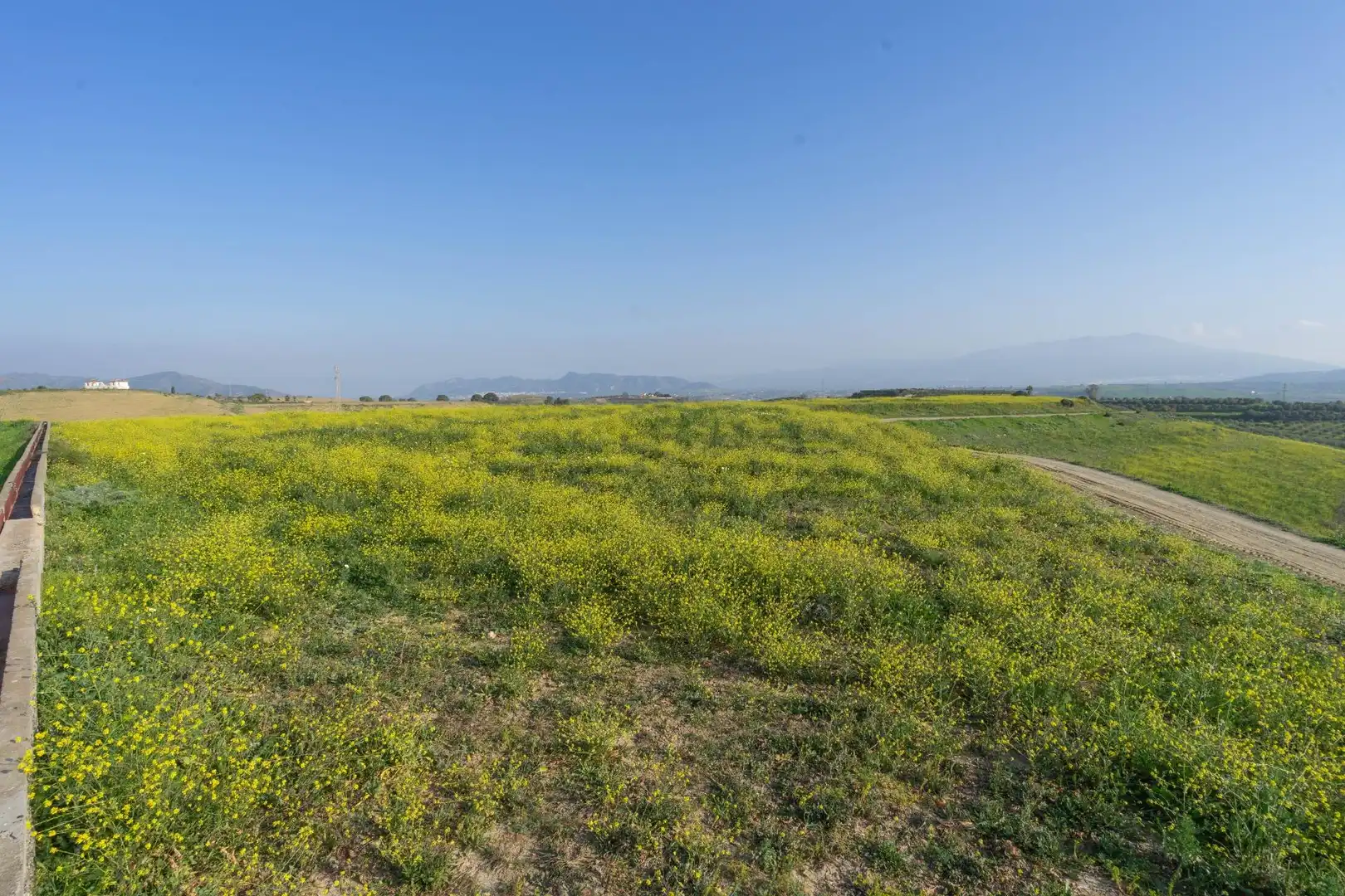 Rural land for sale in Casalpalma - Fahala, imagen 3