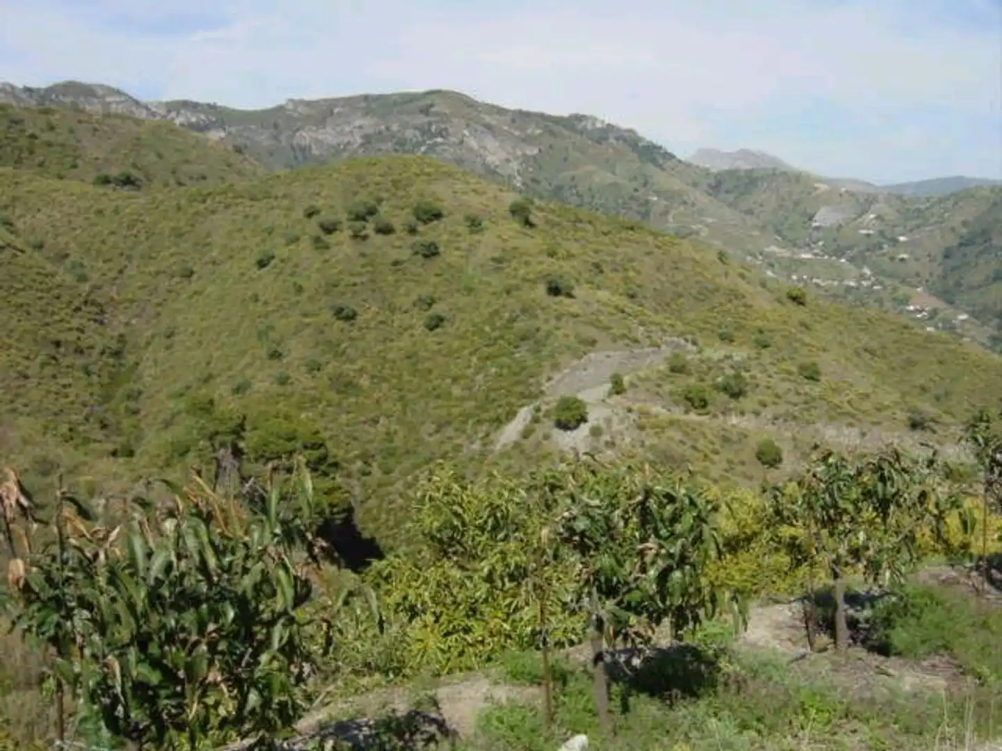 Rural land for sale in Diseminado Matachinas Pol 12, imagen 5