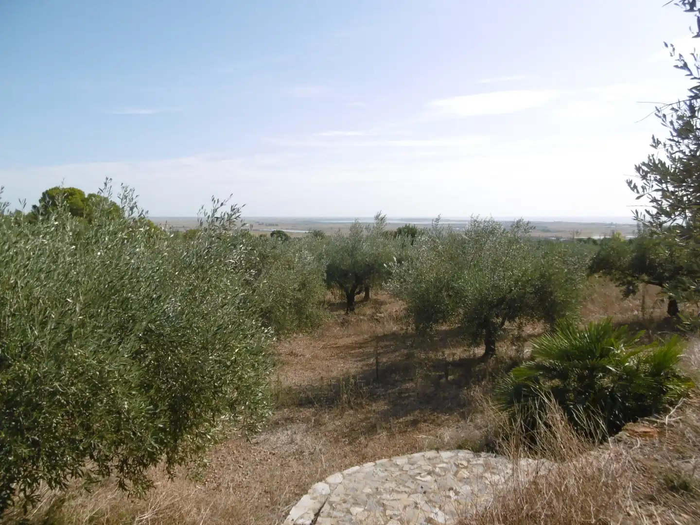 Rustikales Grundstück zum Verkauf in Vial Camino 315, imagen 15