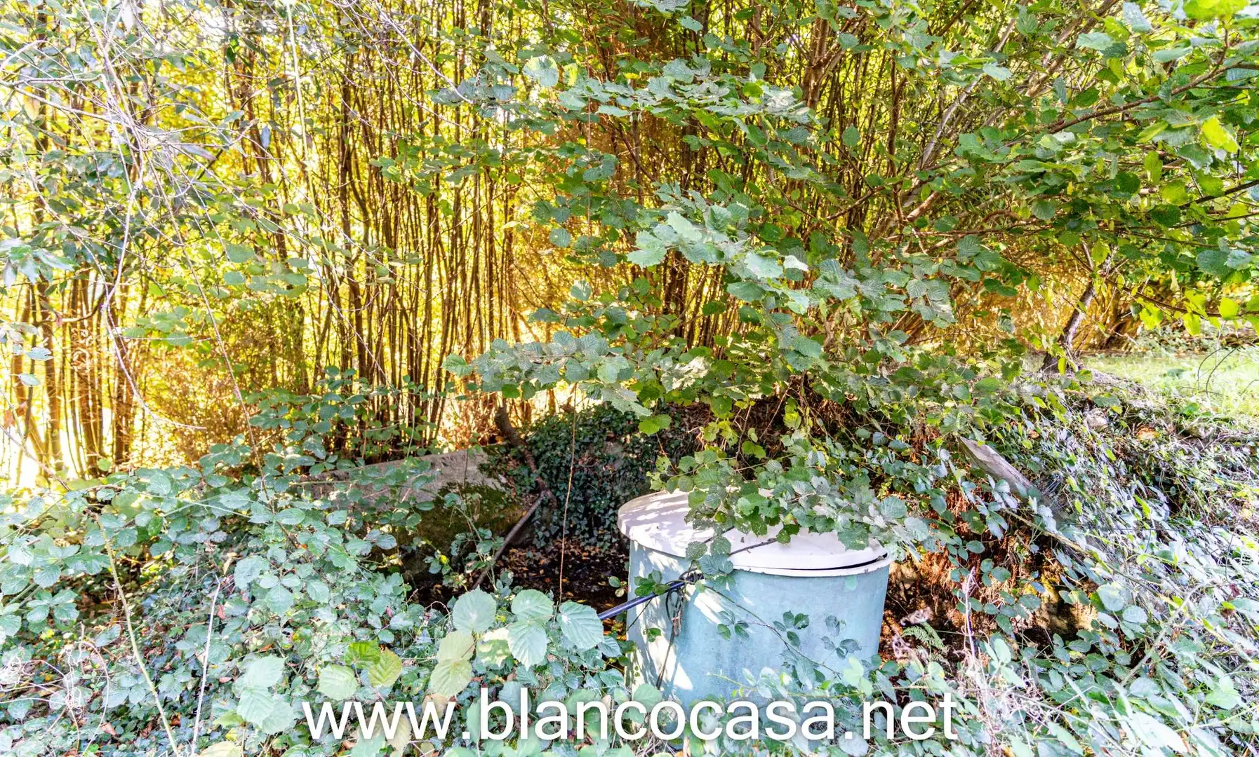 Casa con giardino in vendita a A Laracha, imagen 74