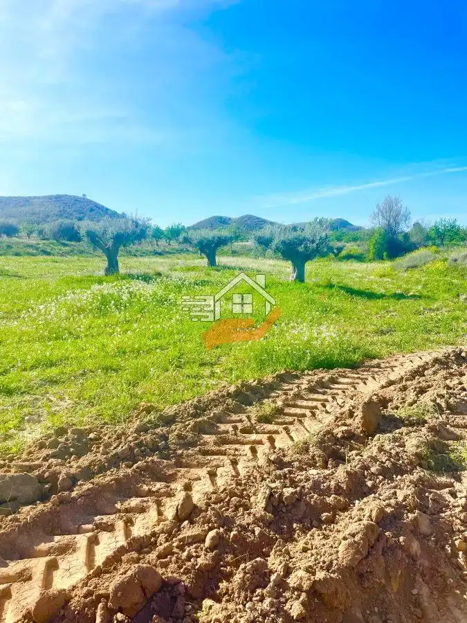 Lands and plots for sale in Pedanías Norte, imagen 36