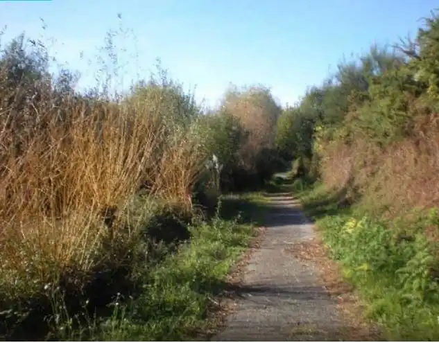 Terreno rustico in vendita a Camiño Tombo 9, imagen 6