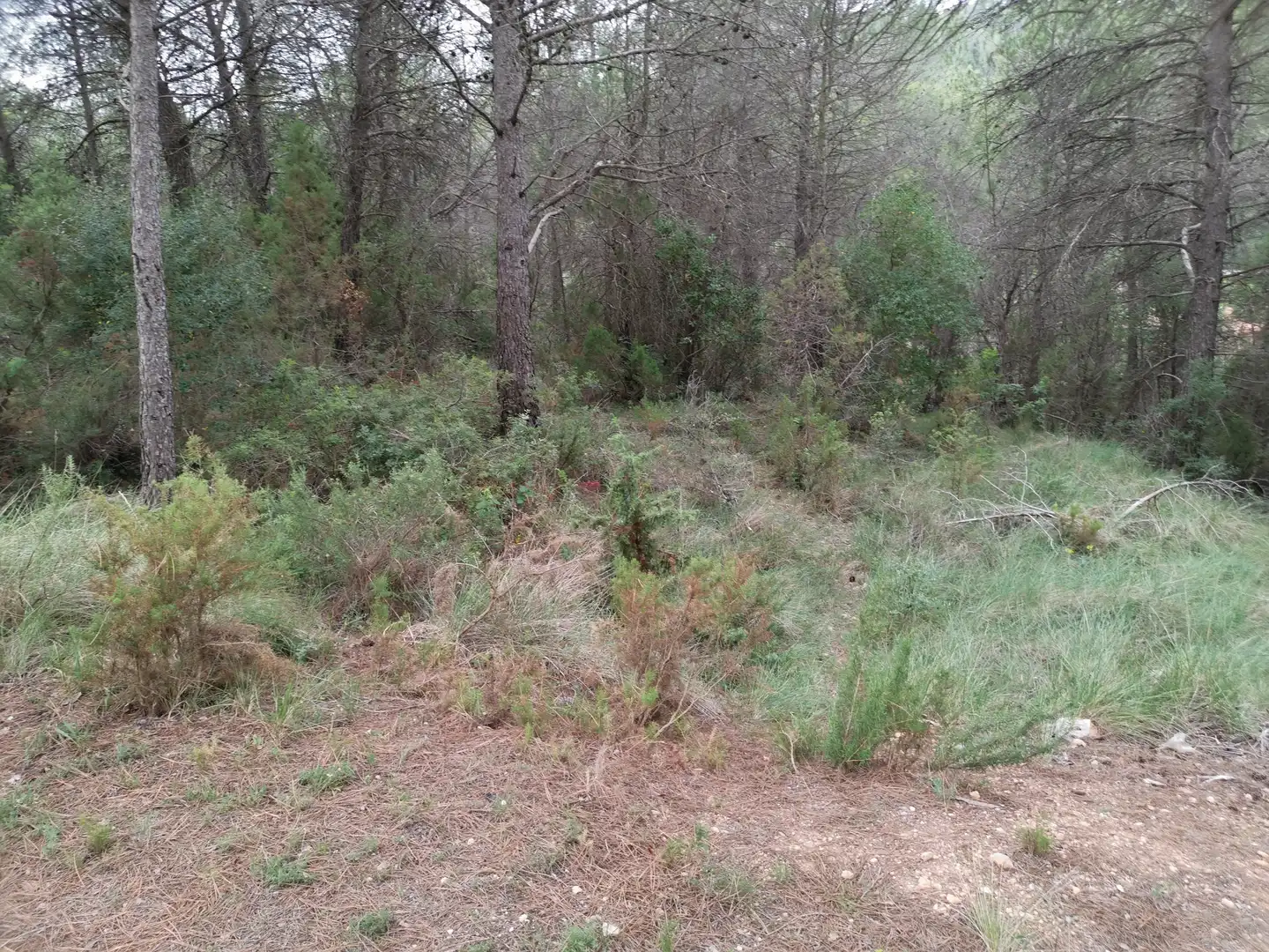 Residencial en venda en El Montmell