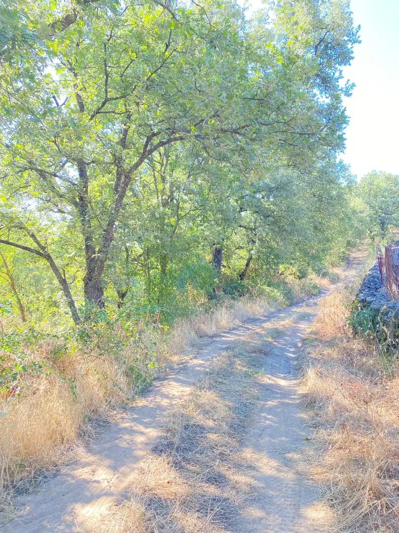 Terreni e lotti in vendita a Gargüera, imagen 10