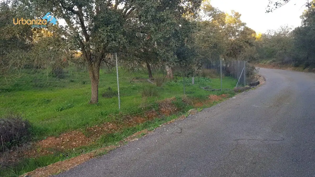 Terreni e lotti in vendita a Calle hortelano, imagen 3