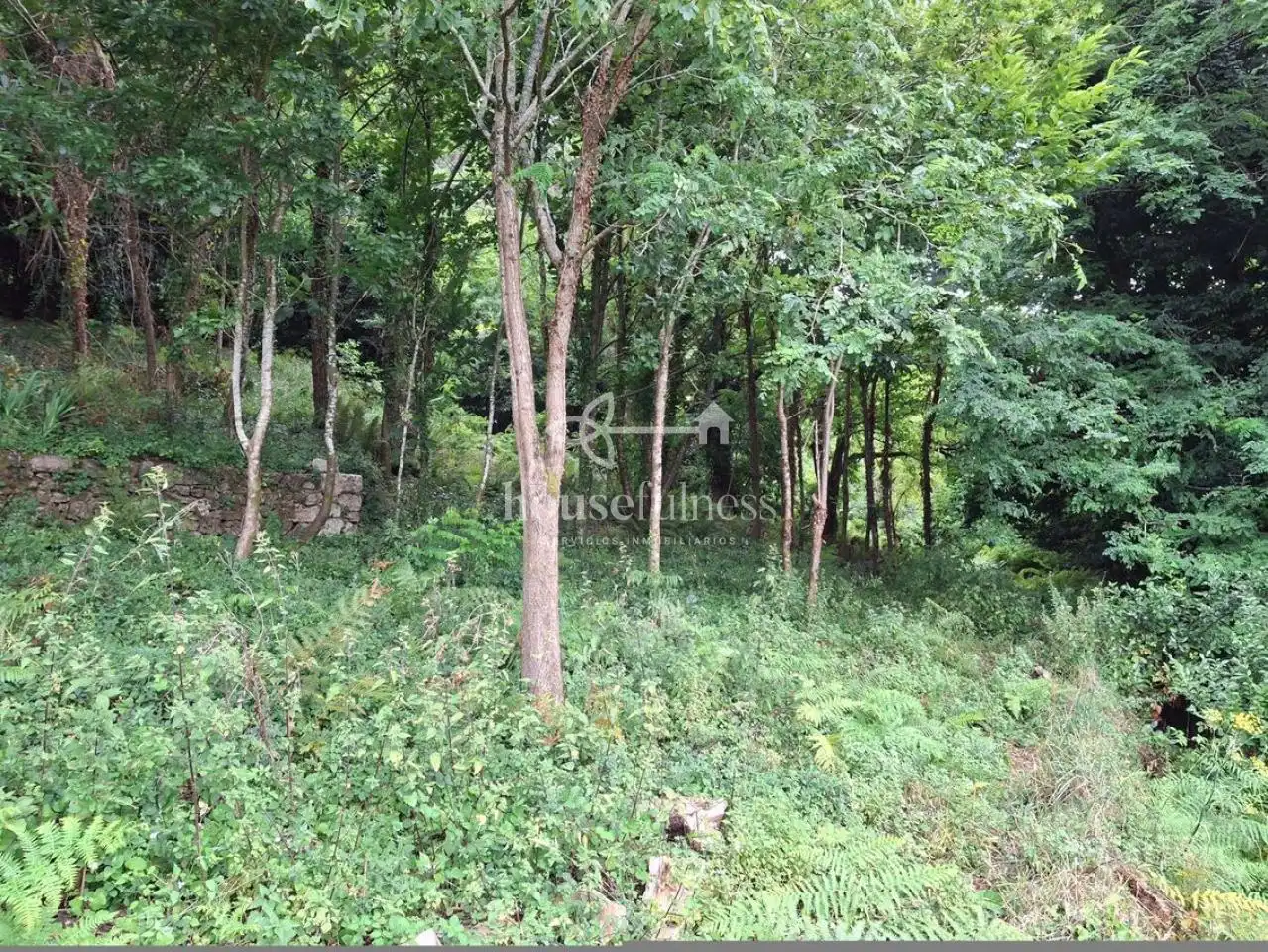 Finca rústica en venda en Ferrol amb Jardí privat, Terrassa i Traster