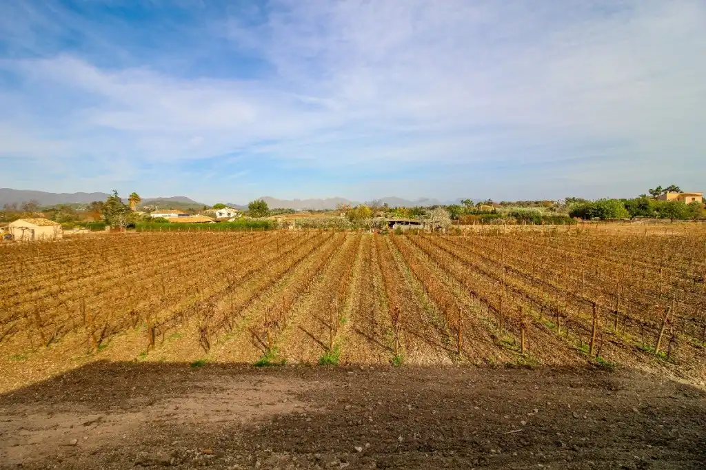 Finca rústica en venda en Alcúdia amb Aire condicionat, Calefacció i Jardí privat