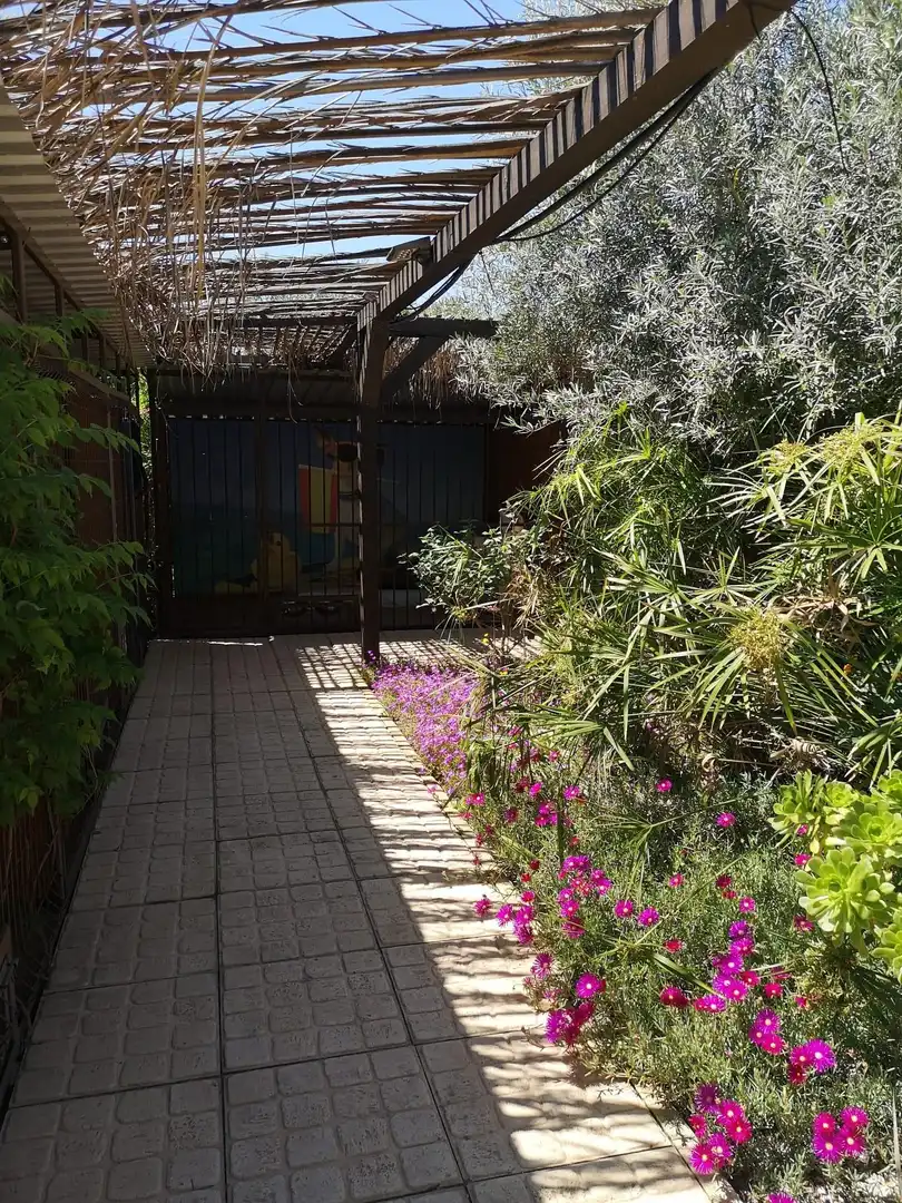 Jardí de Finca rústica en venda en Elche / Elx amb Aire condicionat, Calefacció i Jardí privat