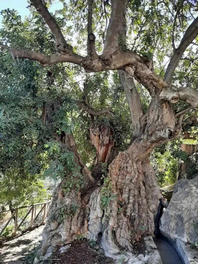 Casa o xalet en venda a Lucainena de las Torres