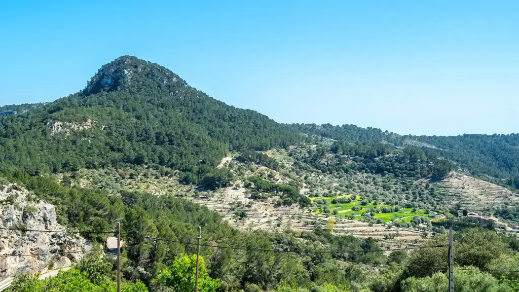 Chalet en venta en Puigpunyent
