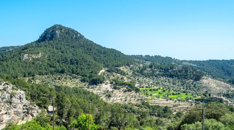 Foto 3 de Casa o chalet en venta en Puigpunyent, Illes Balears