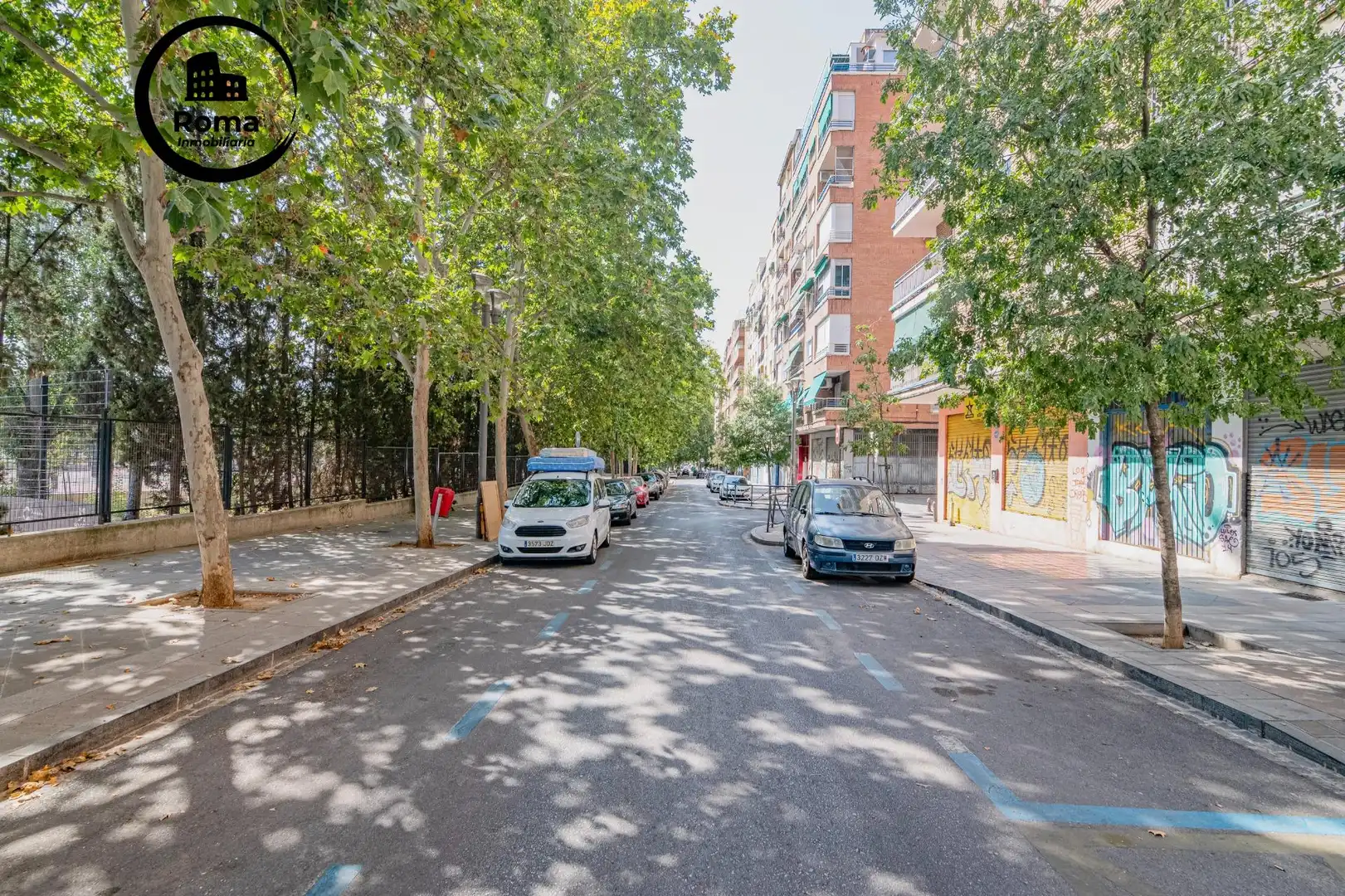 Local comercial en venta en Calle PROFESOR TERCEDOR DIAZ 4, imagen 3
