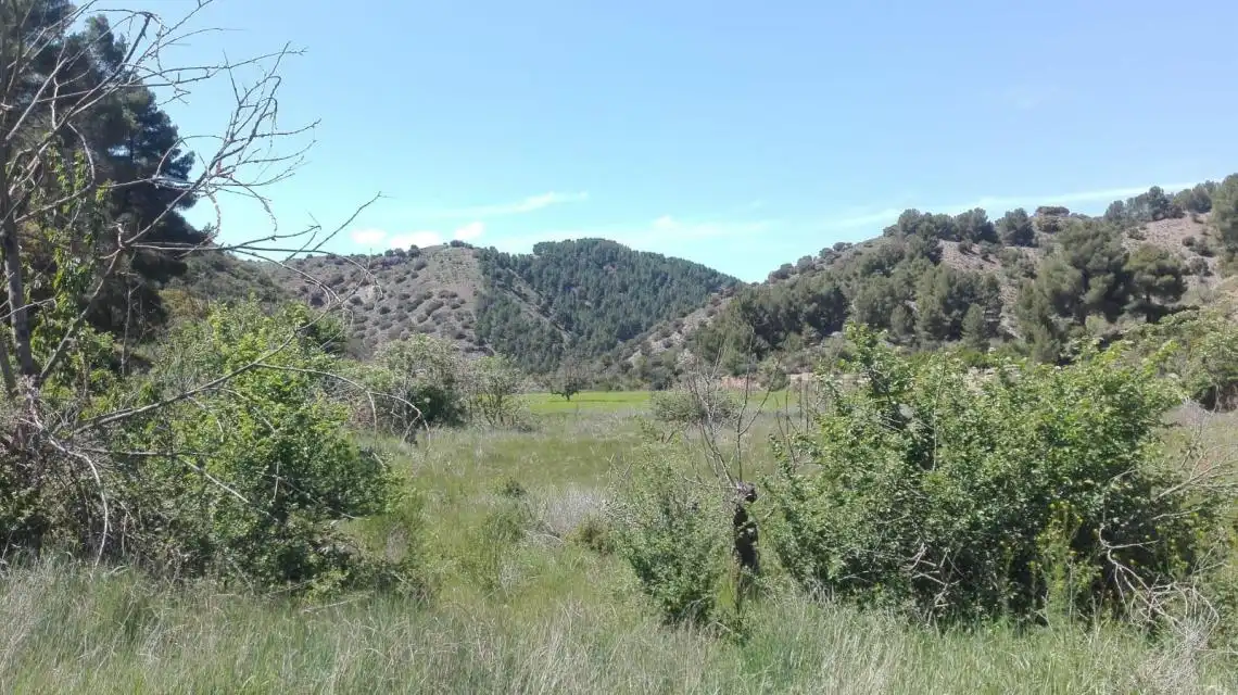 Land for sale in Báguena