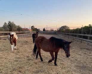 Exterior view of Country house for sale in Castellón de la Plana / Castelló de la Plana  with Furnished