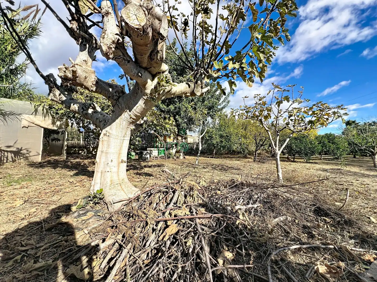 Finca rústica en venda en Cuevas del Almanzora amb Aire condicionat, Jardí privat i Terrassa