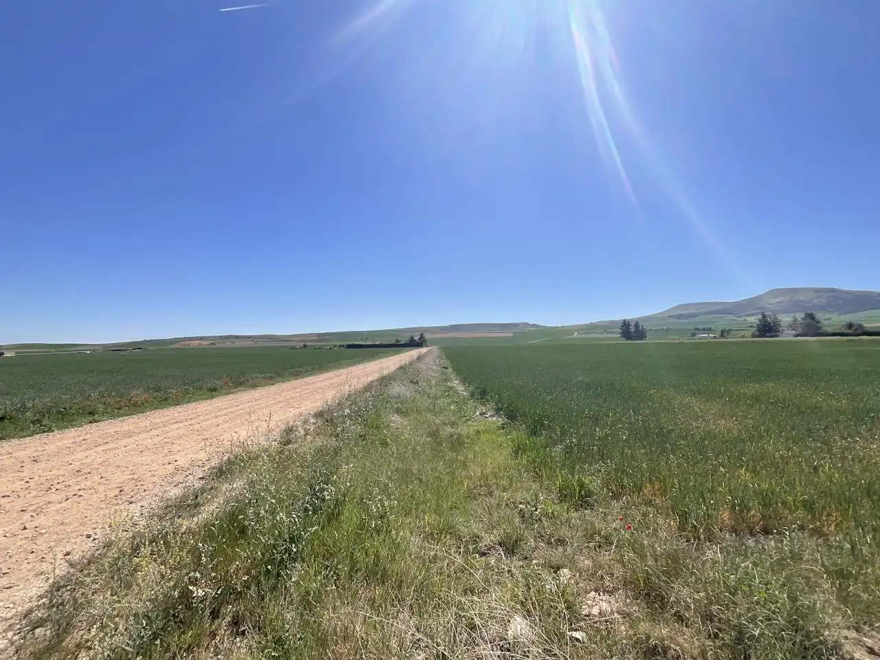 Terreny rústic en venda a Santo Domingo de la Calzada, imagen 9