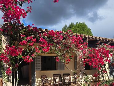 Casa rústica amb jardí en venda a Sant Llorenç des Cardassar