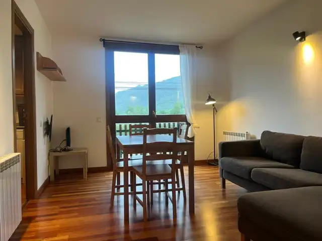 Sala d'estar de Apartament en venda en Esterri d'Àneu amb Calefacció, Parquet i Traster