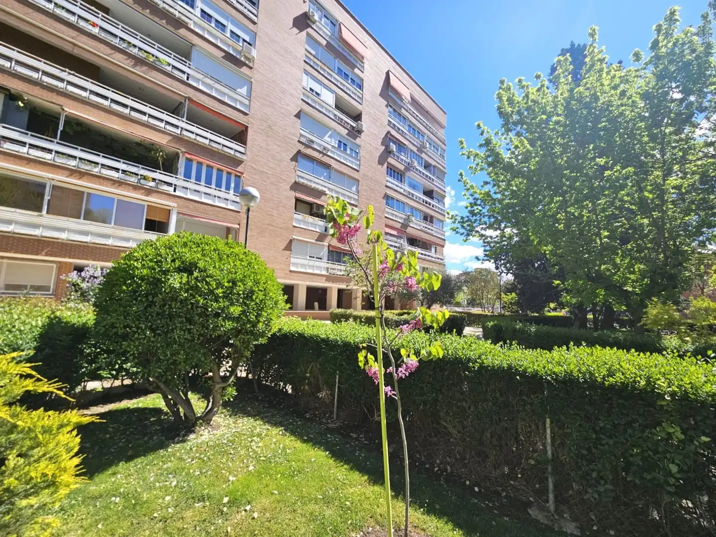 Exterior view of Apartments for rent in  Madrid Capital  with Heating