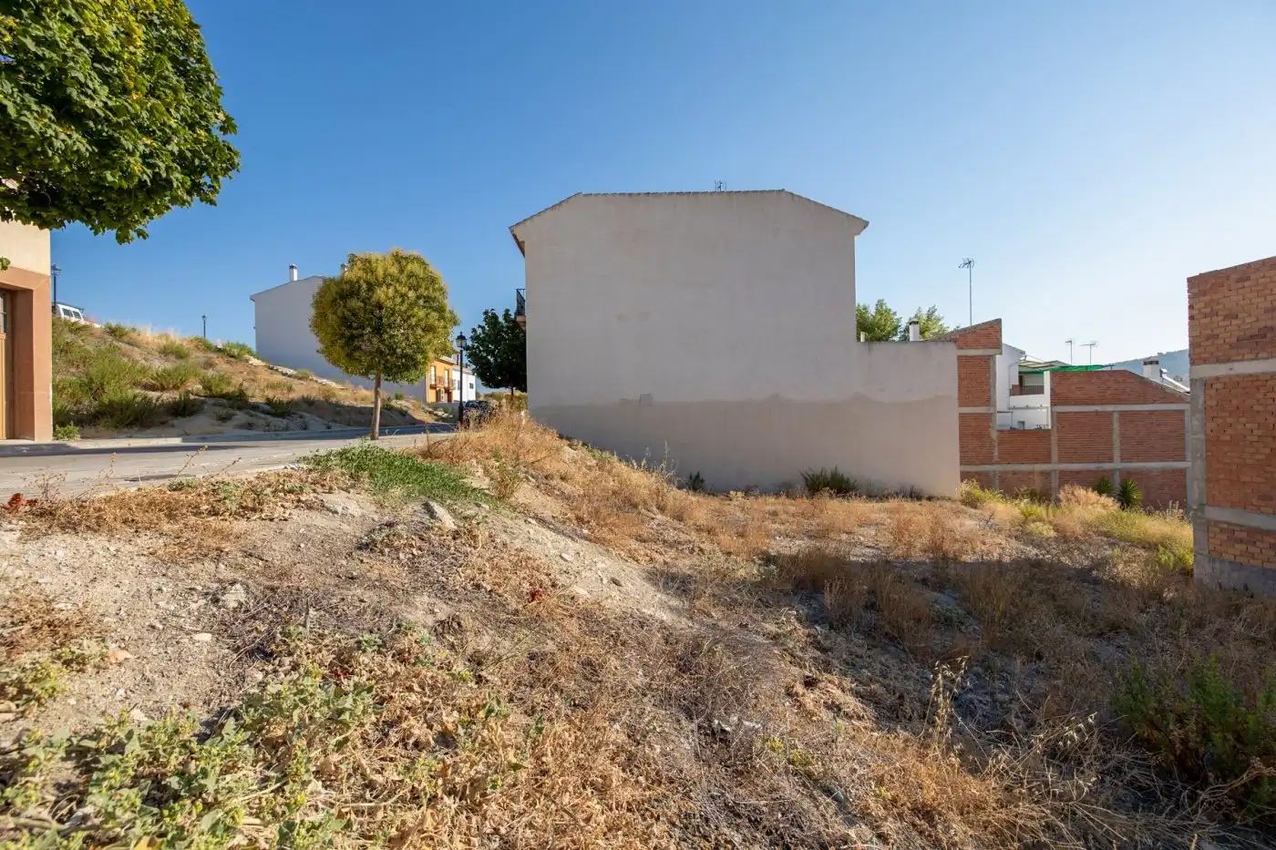 Terreny residencial en venda a Alhama de Granada, imagen 9