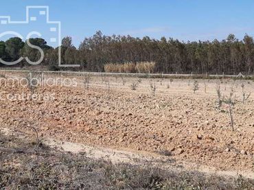 Terreno rustico in vendita a Almonte ciudad