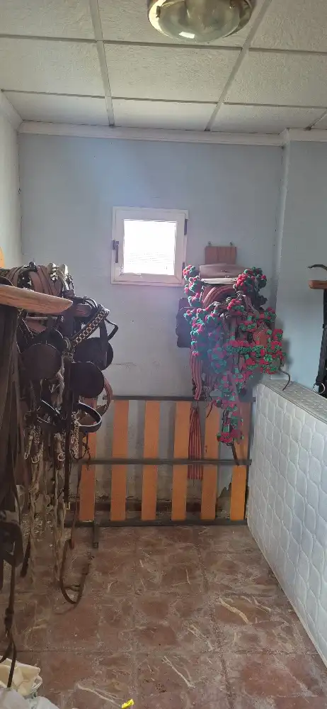Terreni e lotti in vendita a Terreno Diseminados 3183, imagen 19