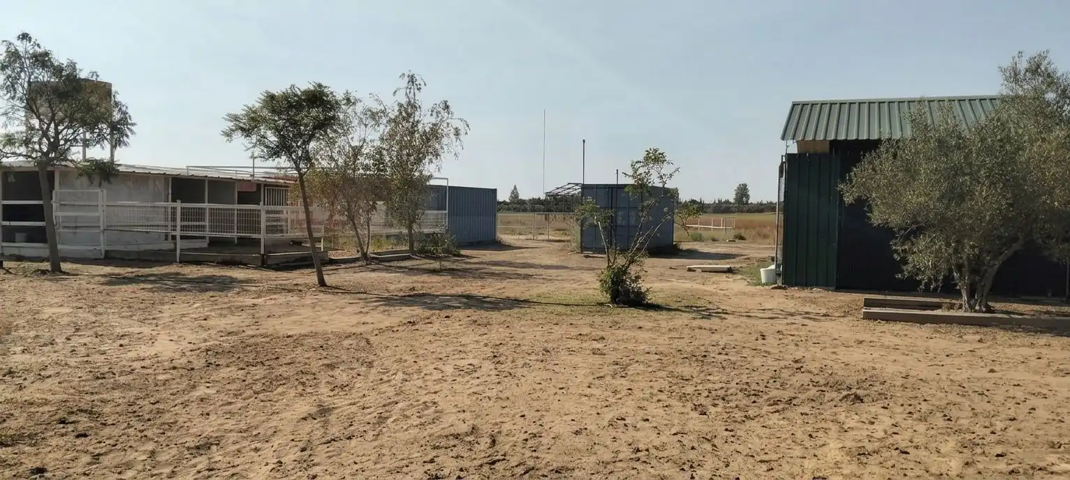 Terreni e lotti in vendita a La Hacienda - Nueva Andalucía, imagen 2