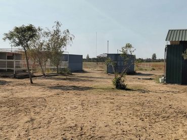 Terrain rustique à vendre à La Hacienda - Nueva Andalucía