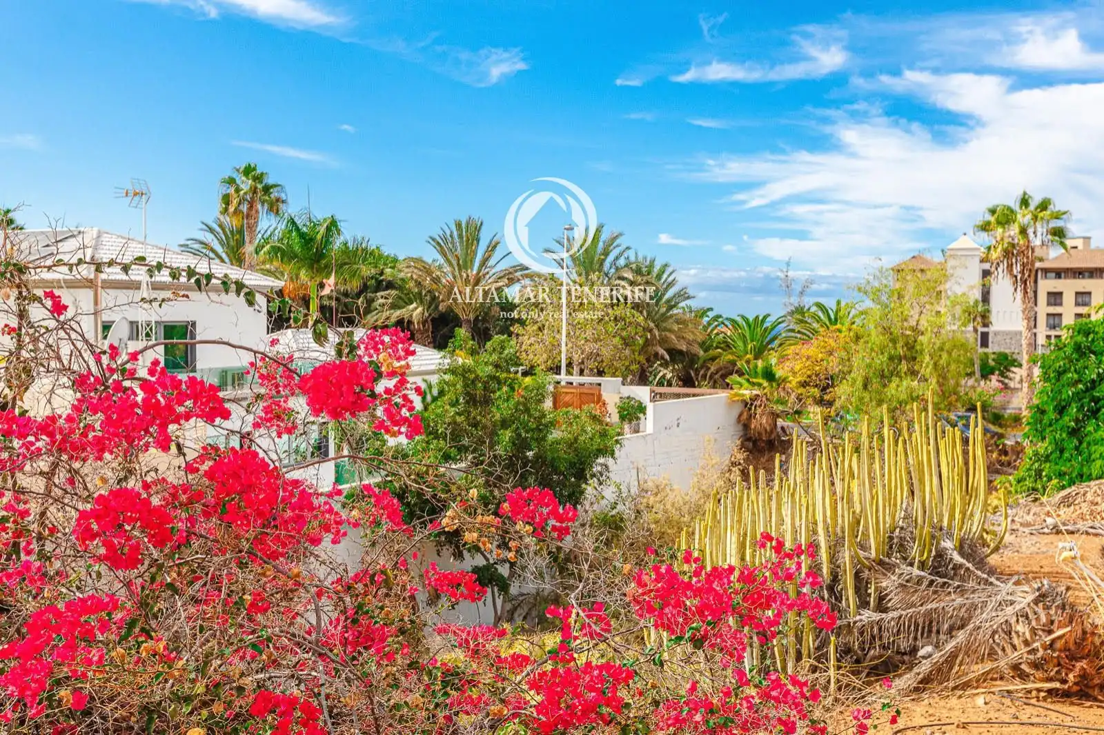 Casa a schiera con piscina in vendita a Costa Adeje, imagen 23