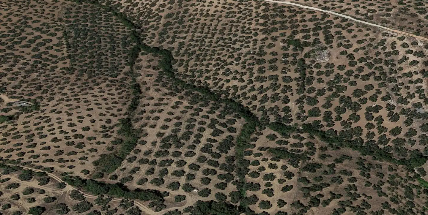 Rural land for sale in Camino de la Dehesa, imagen 4