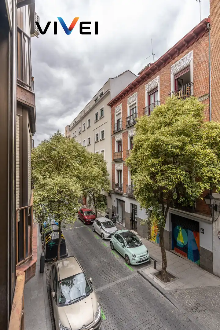 Piso con ascensor en venta en Calle del Doctor Fourquet, imagen 37