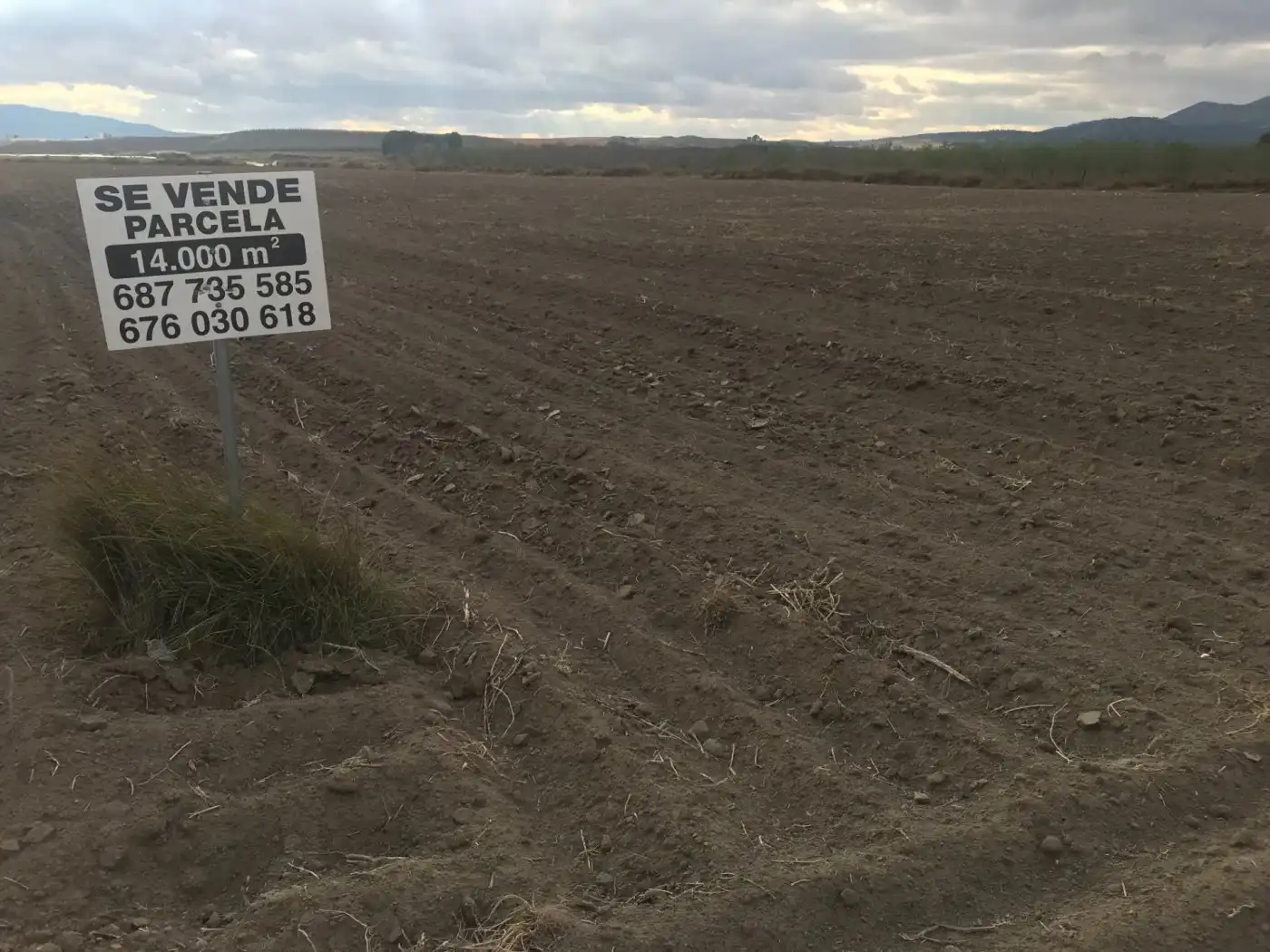 Grundstücke zum Verkauf in Villena