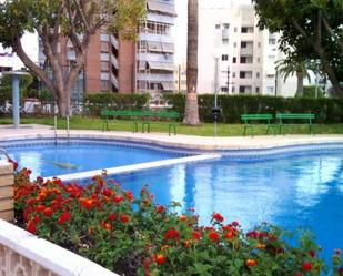 Pis de lloguer a Playa Muchavista, El Campello