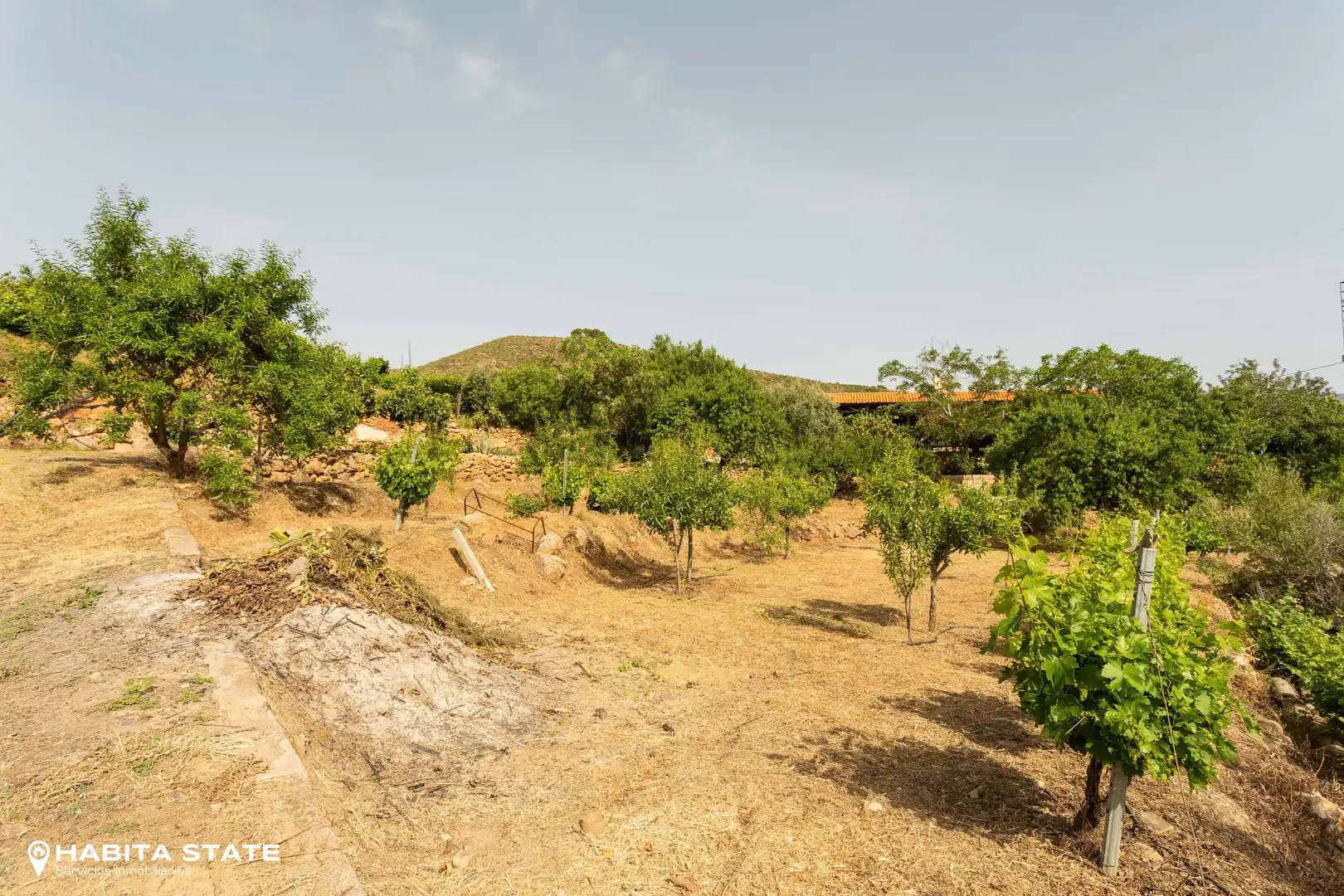 Finca rústica en venda en Canjáyar amb Jardí privat i Moblat