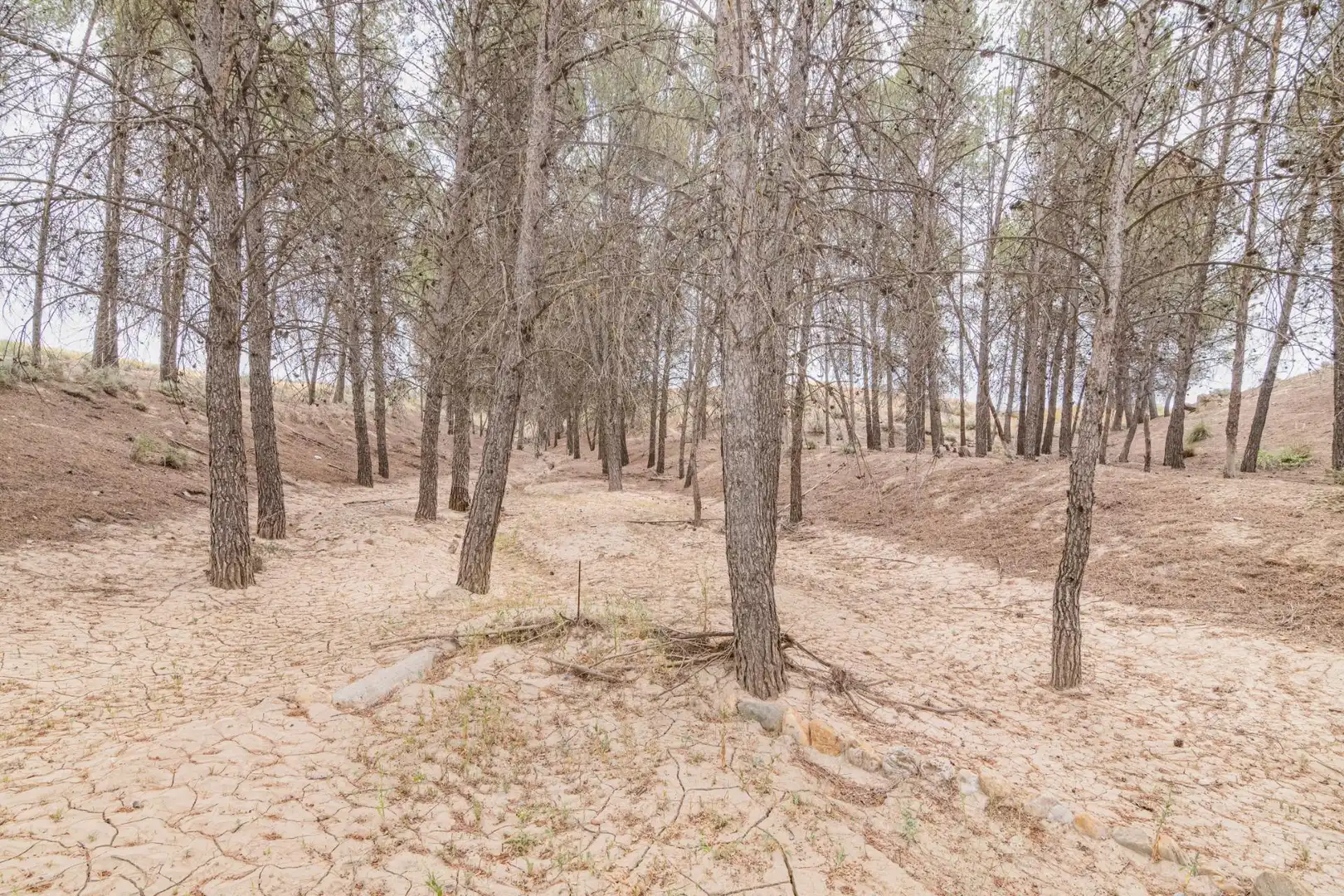 Terreni e lotti in vendita a Baza, imagen 42