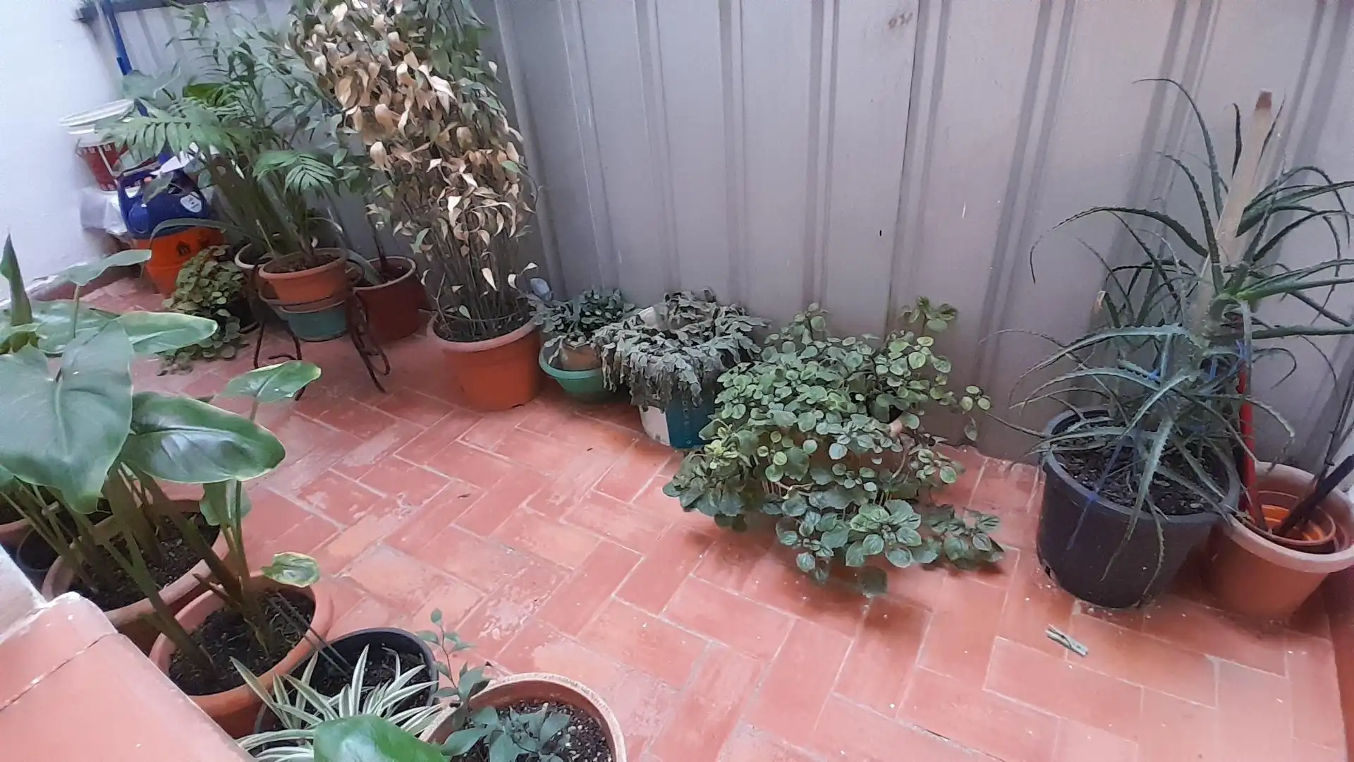 Terraza de Piso en venta en Yecla, Murcia