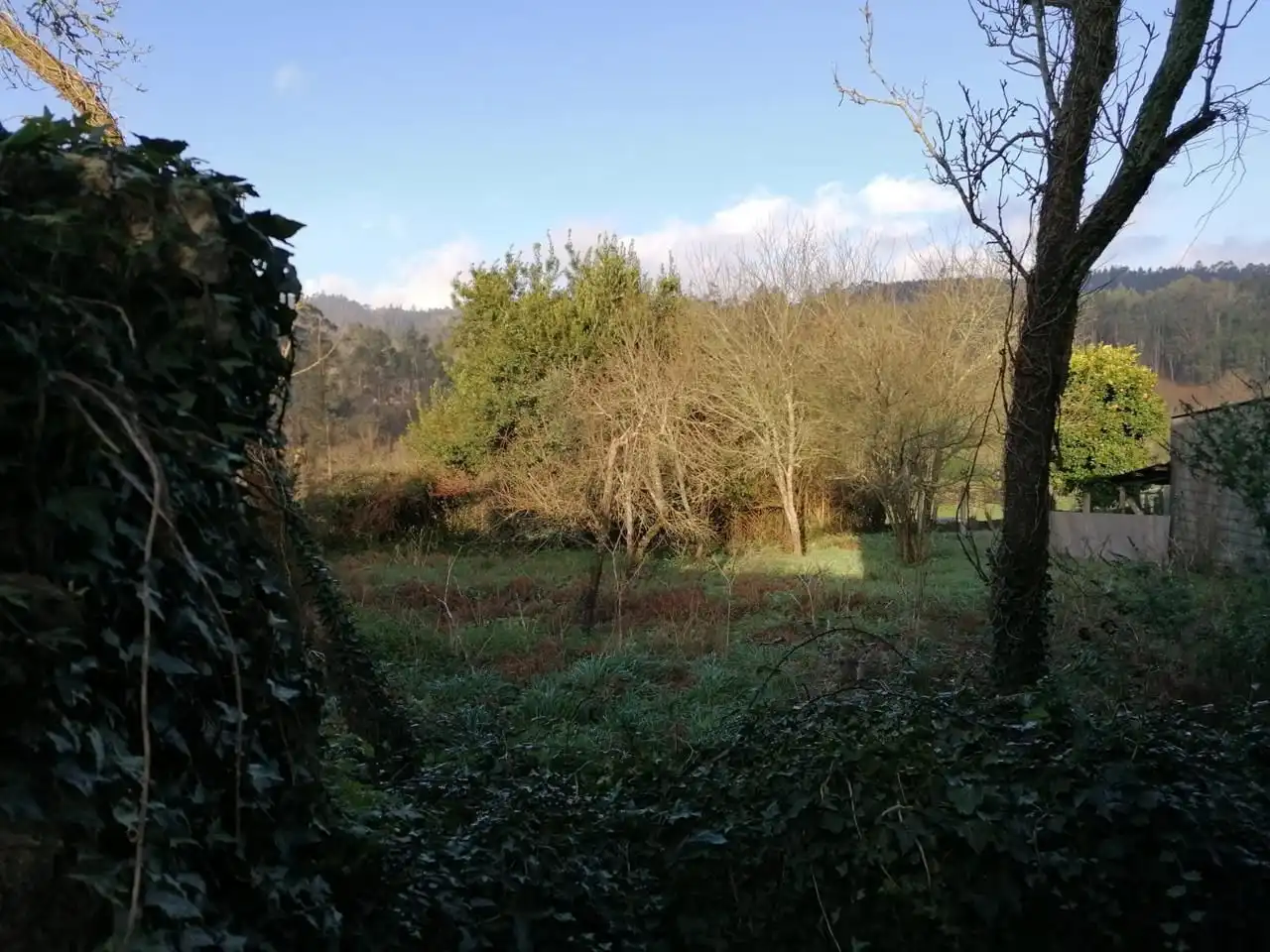 Country homes for sale in Brión