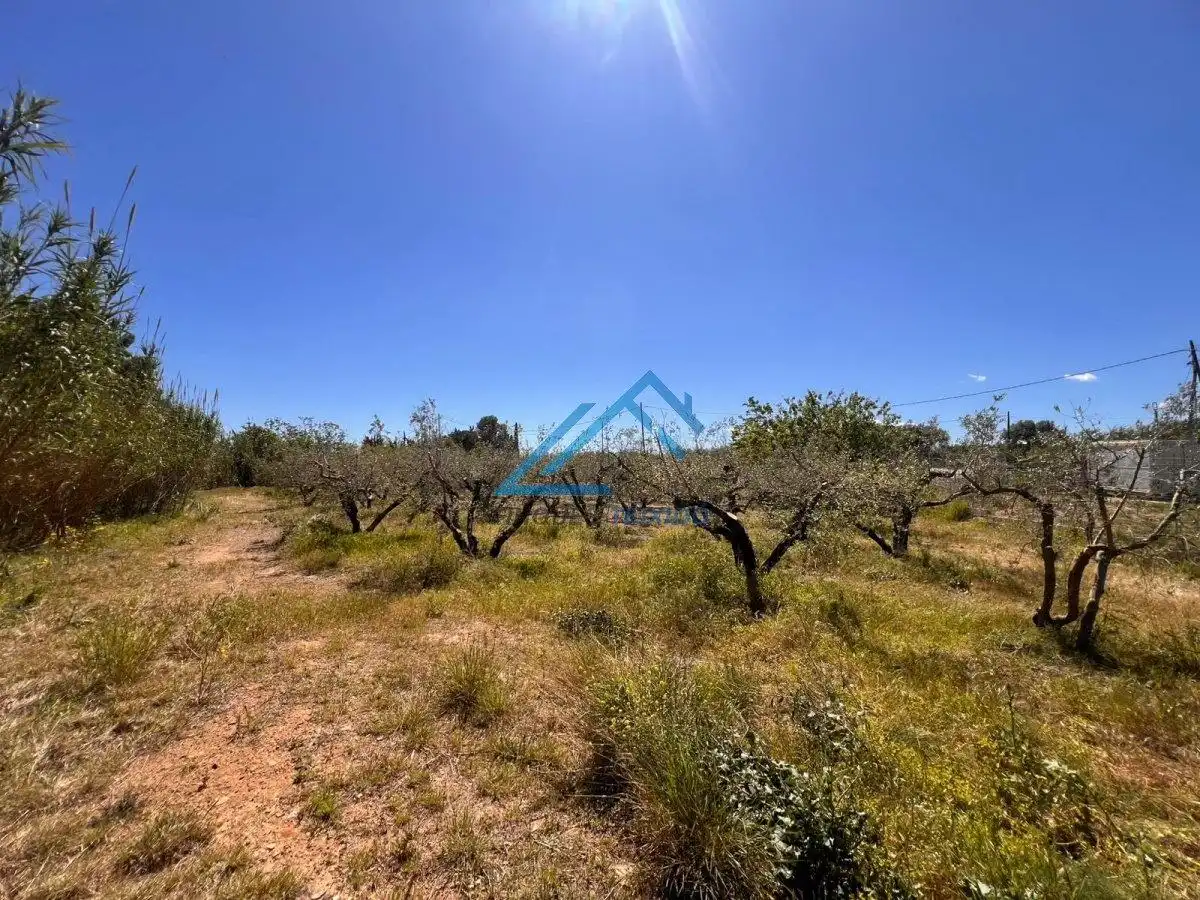Land for sale in Vinyols i els Arcs