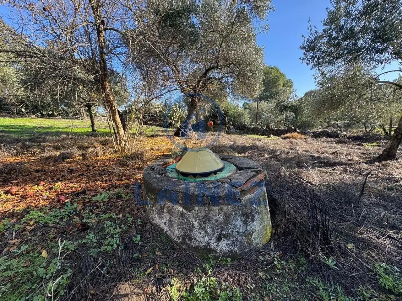 Terreno en venta en La Granjuela