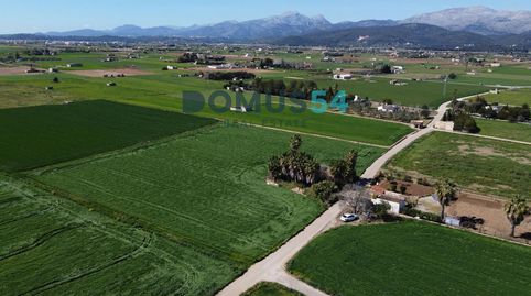 Finca rústica en Sa Pobla, immagine 3