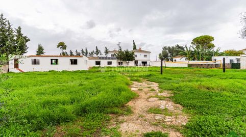 Foto 3 de Finca rústica en venta en Los Franceses – La Vega, Chiclana de la Frontera