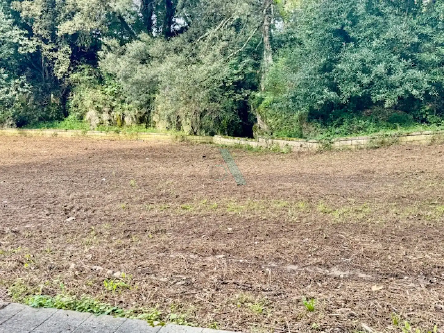 Terreno rustico in vendita a Pancar - llavandera, imagen 3