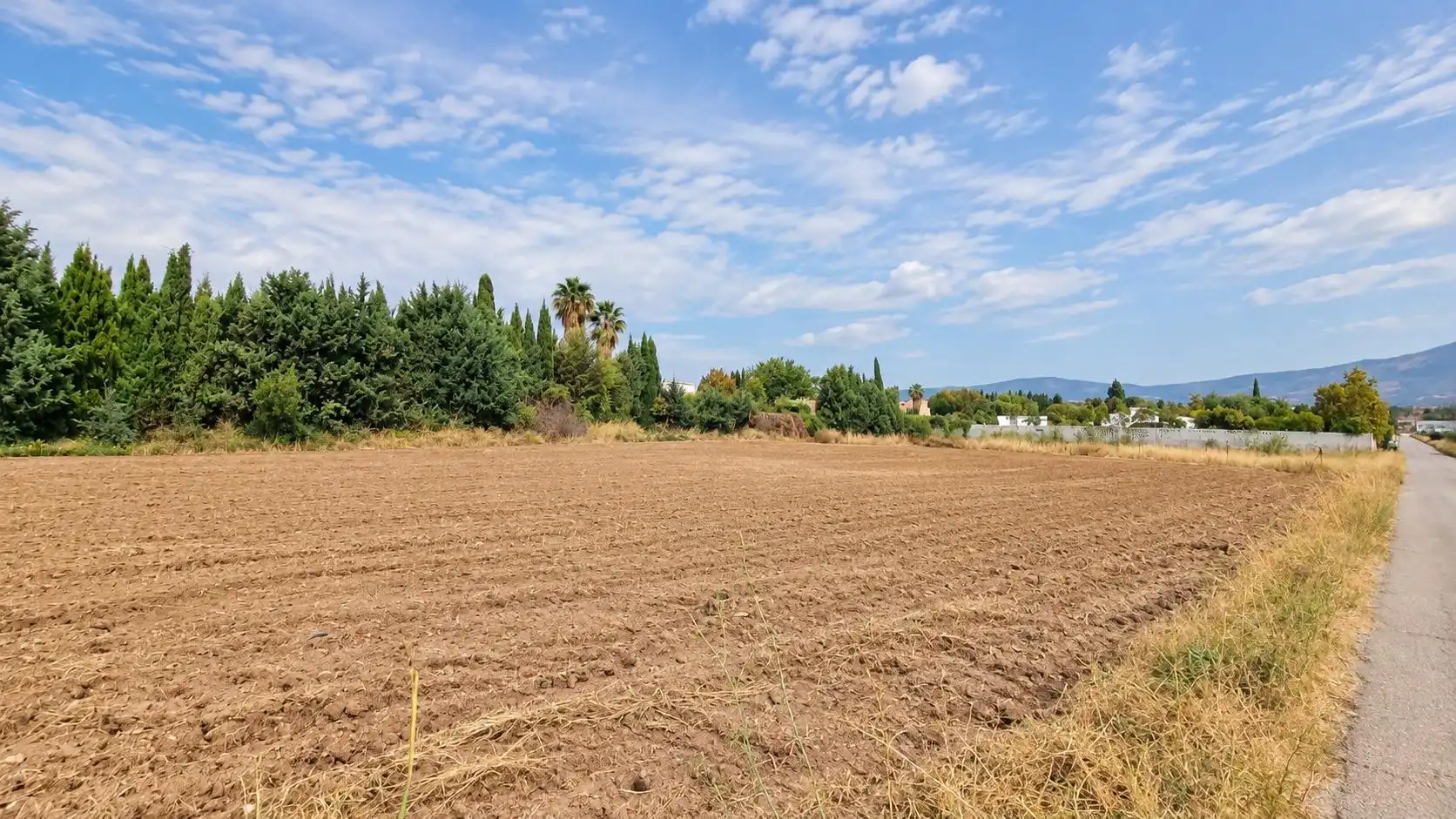 Terreno rústico en venta en Moraleda de Zafayona, imagen 22